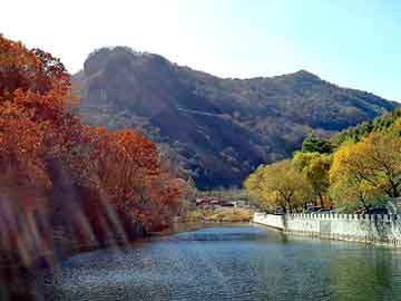 新澳天天彩免费资料大全查询，泛目录大神